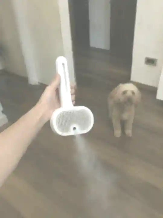De Woofl Steam met een hond op de achtergrond