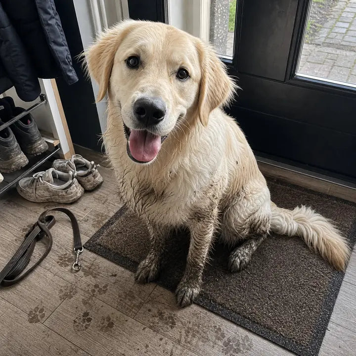 Hond met modderpoten bij de achterdeur