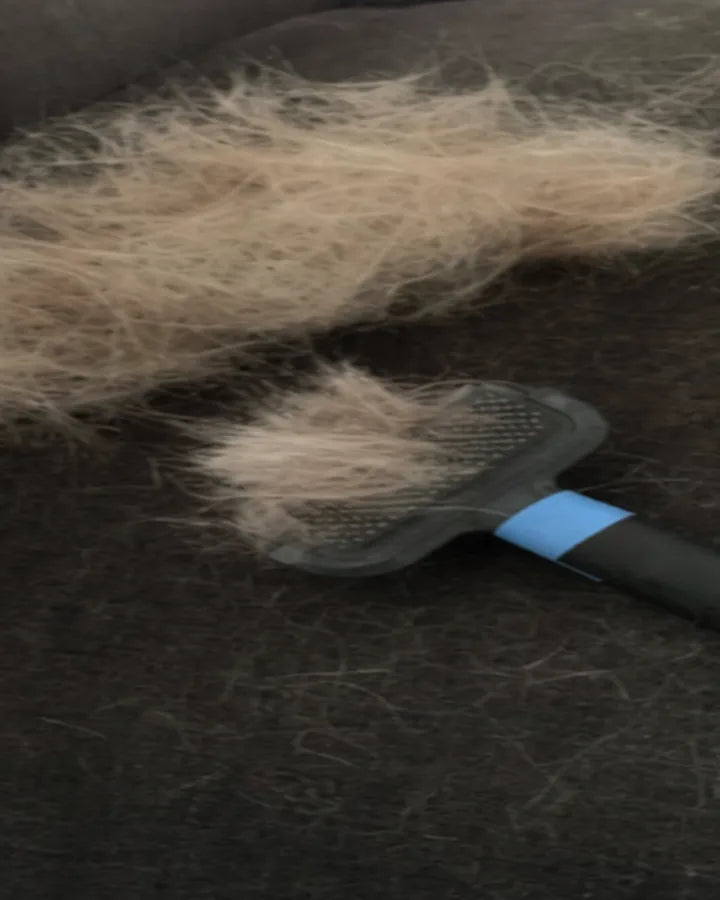 Ervaringsfoto bij Woofl Comb