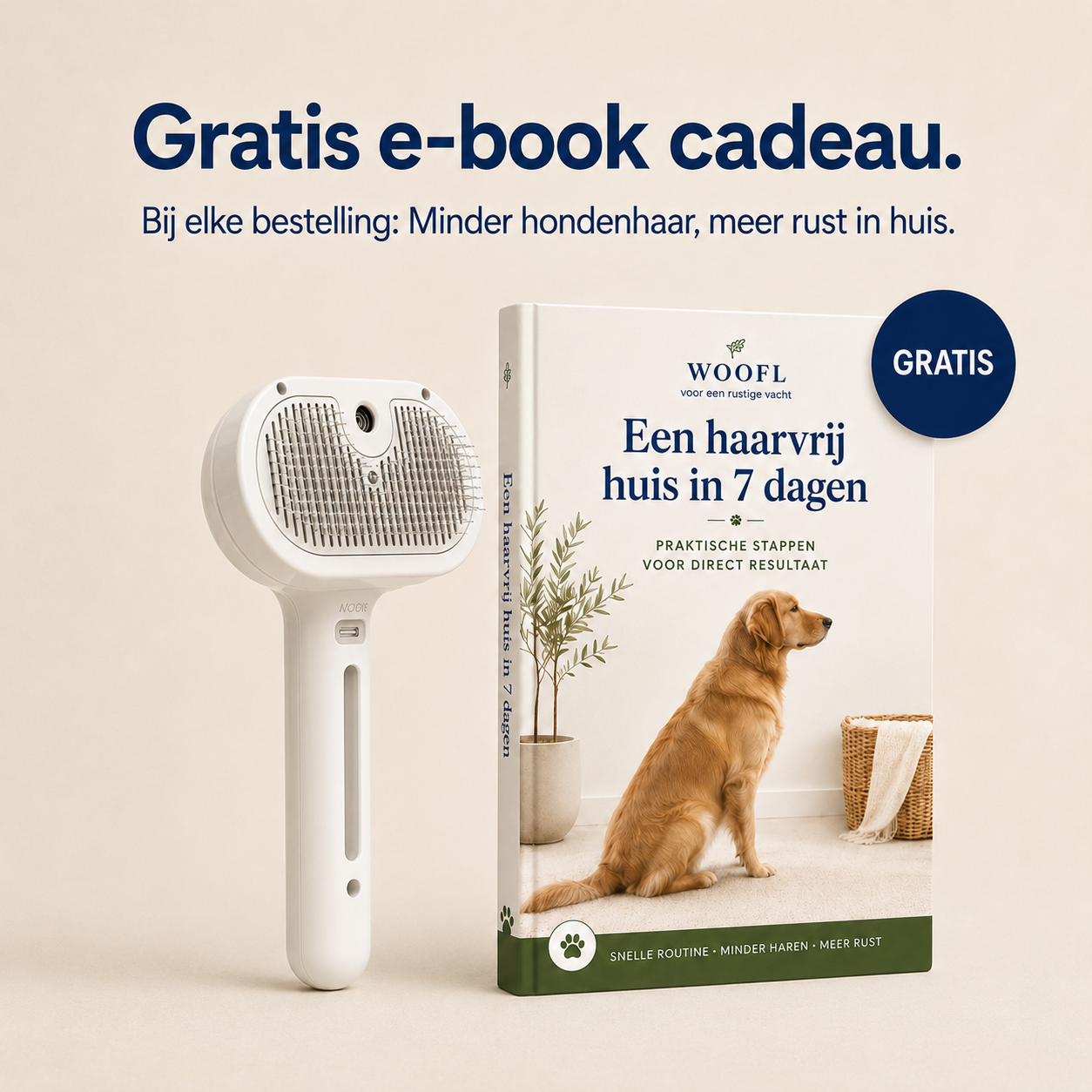 Stoomborstel productbeeld 8