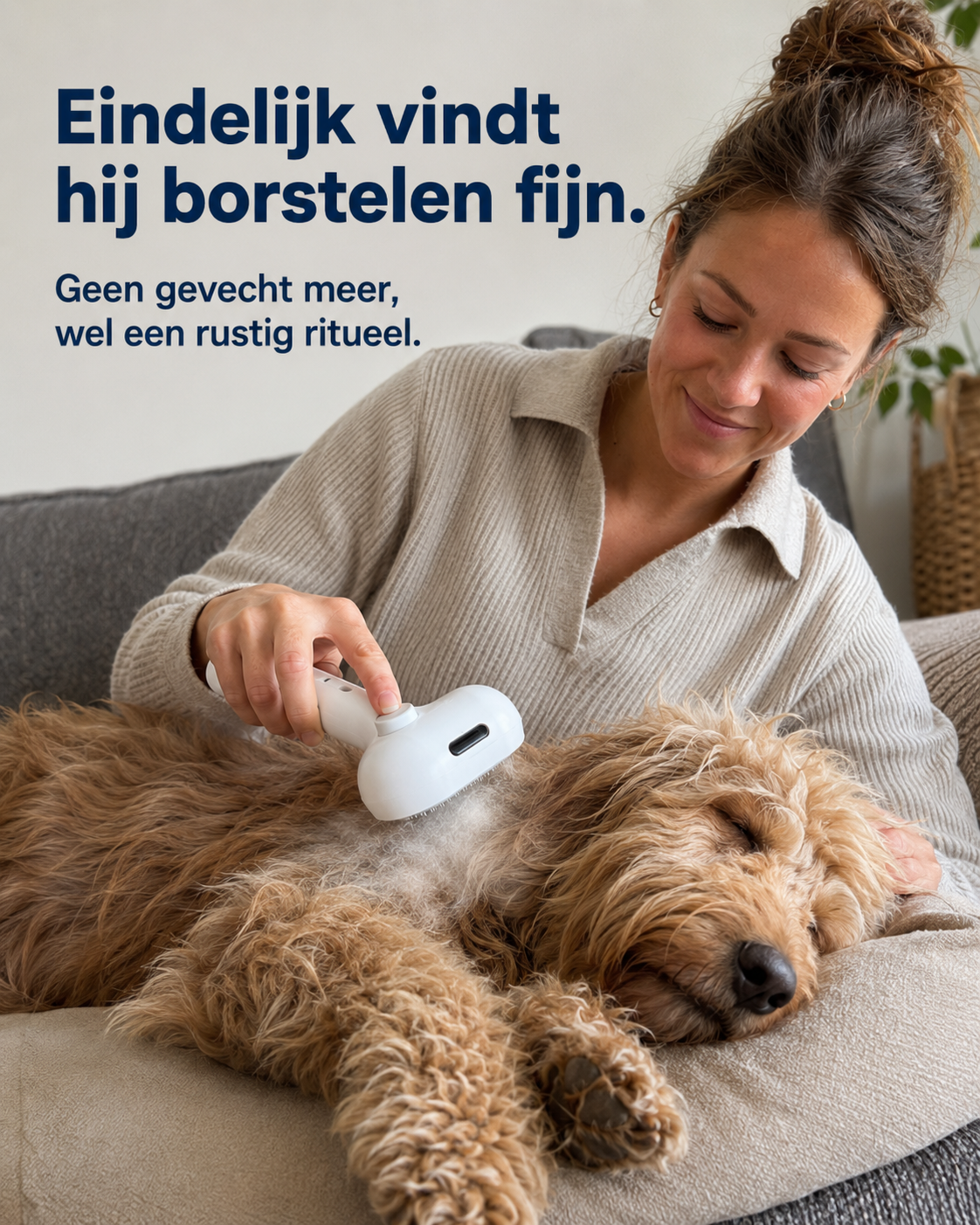 Stoomborstel productbeeld 2