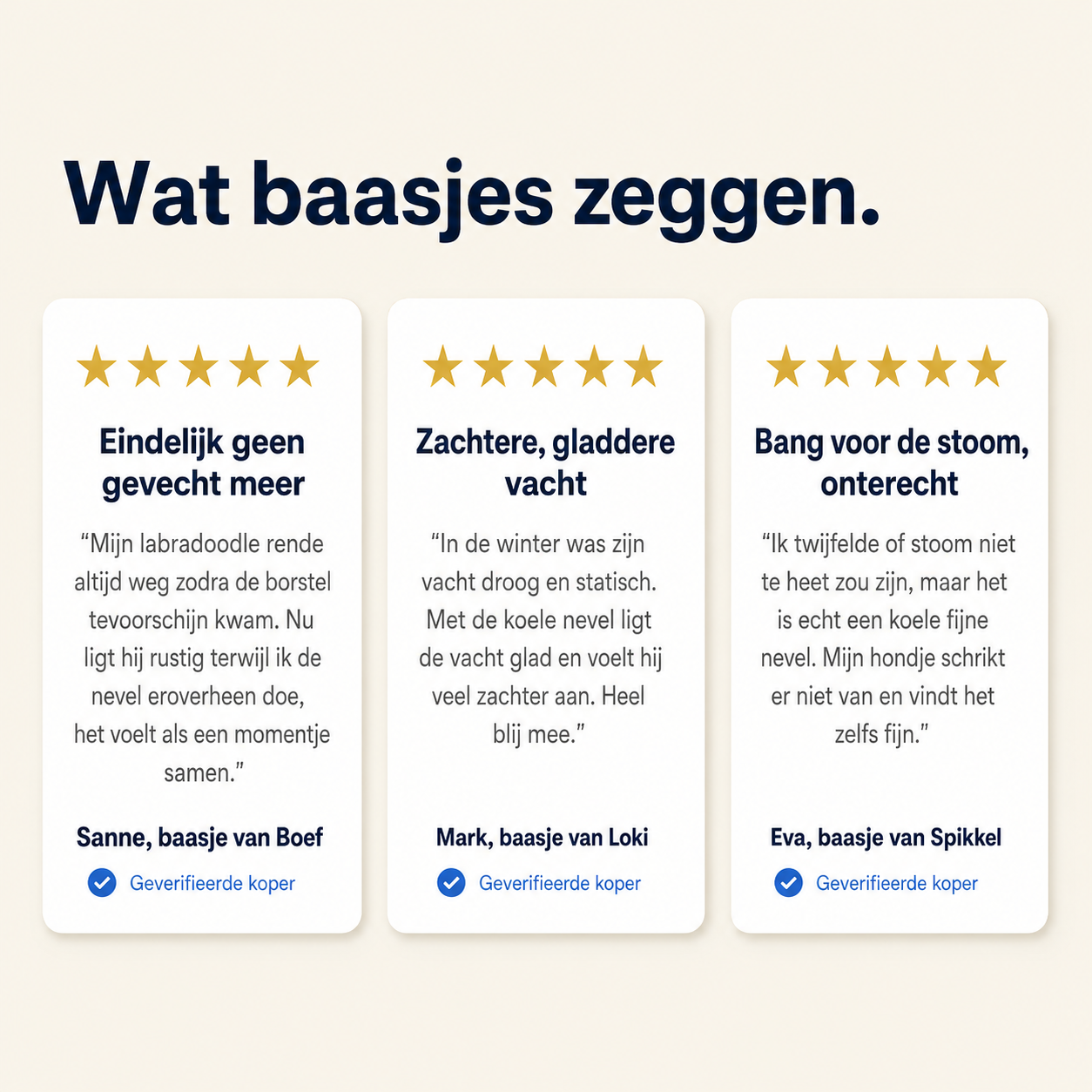Stoomborstel productbeeld 6