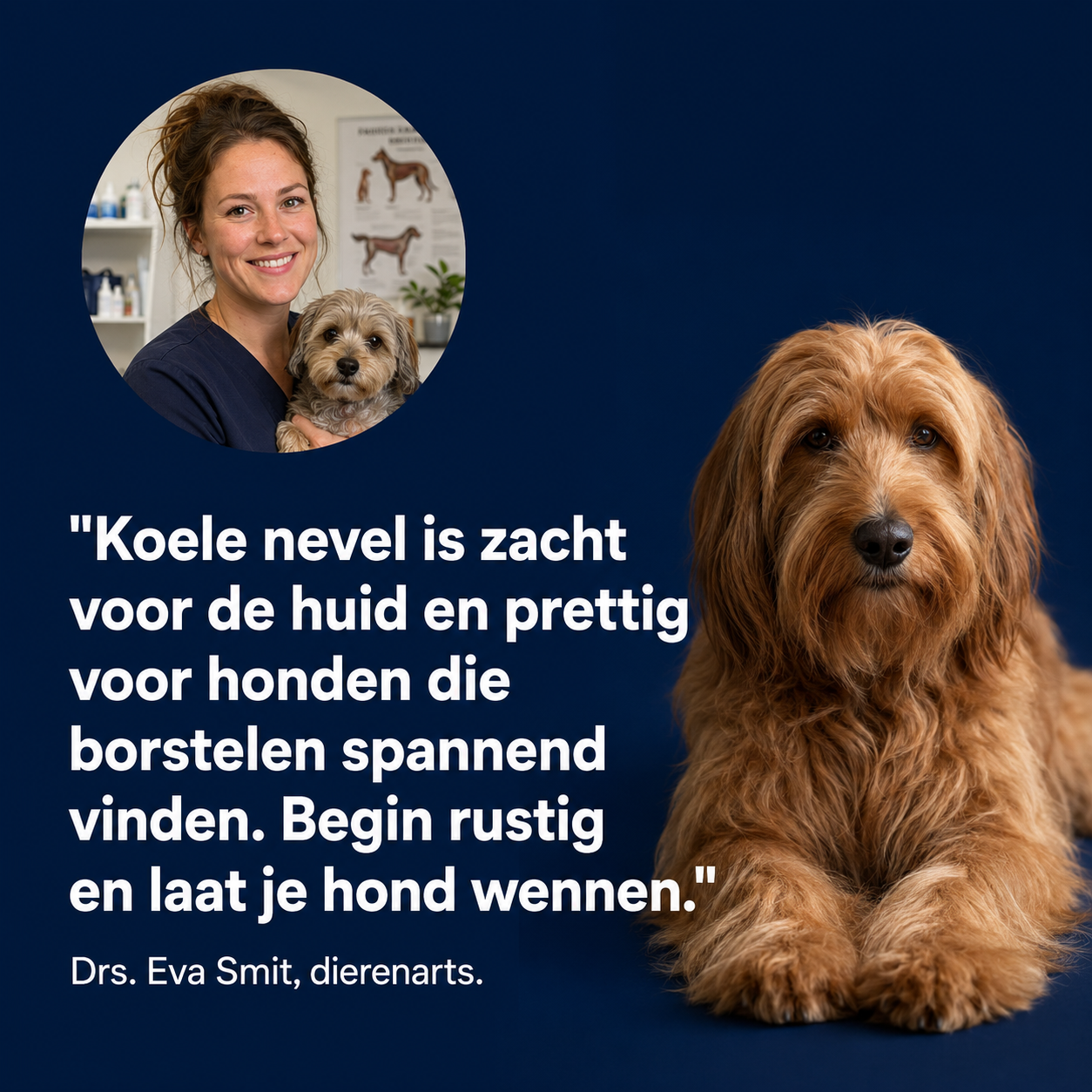Stoomborstel productbeeld 7