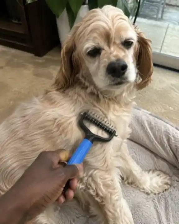 Een hond die ontspannen thuis wordt verzorgd met de Woofl Comb