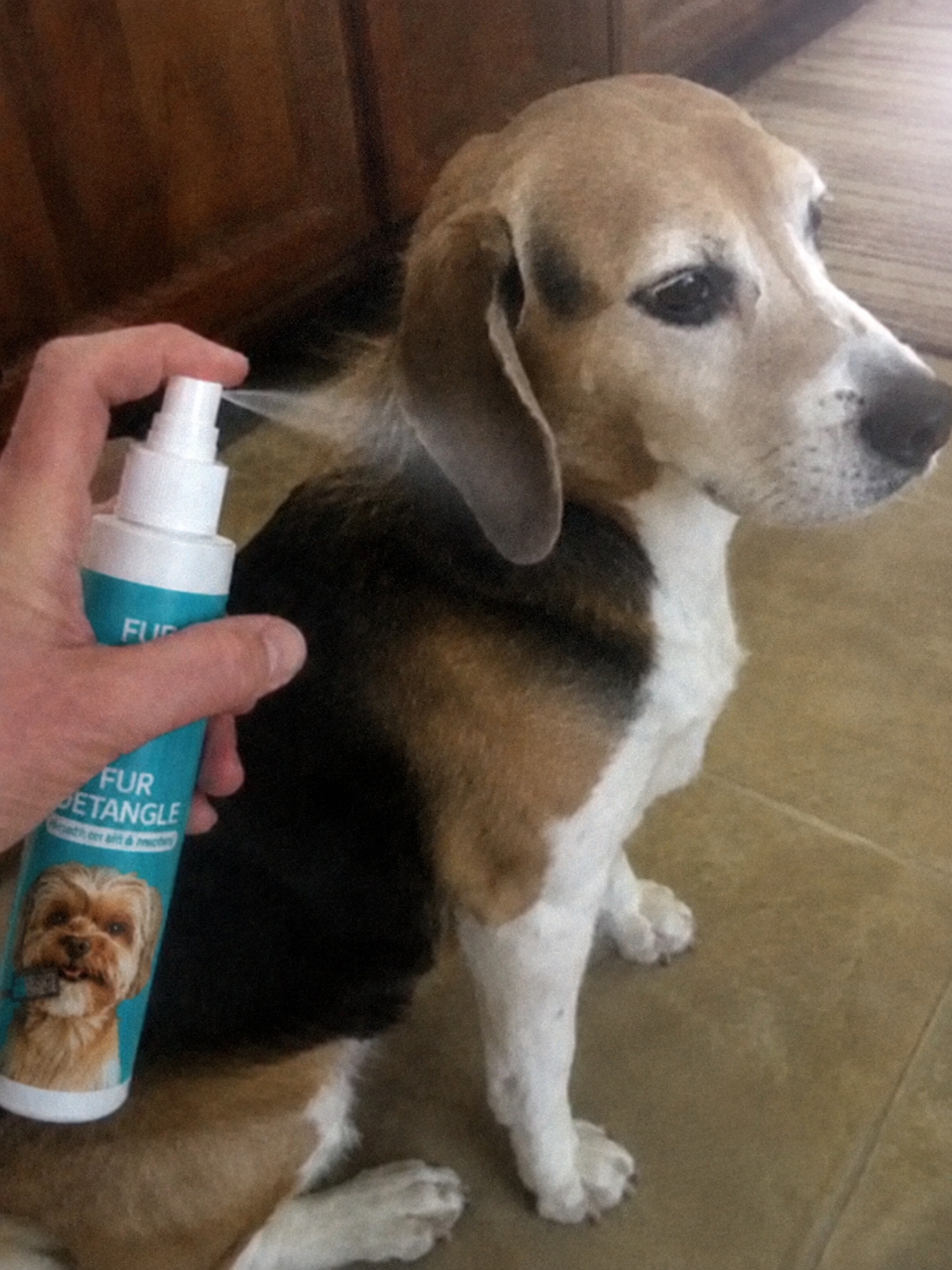 Klantfoto: Woofl Mist bij een beagle
